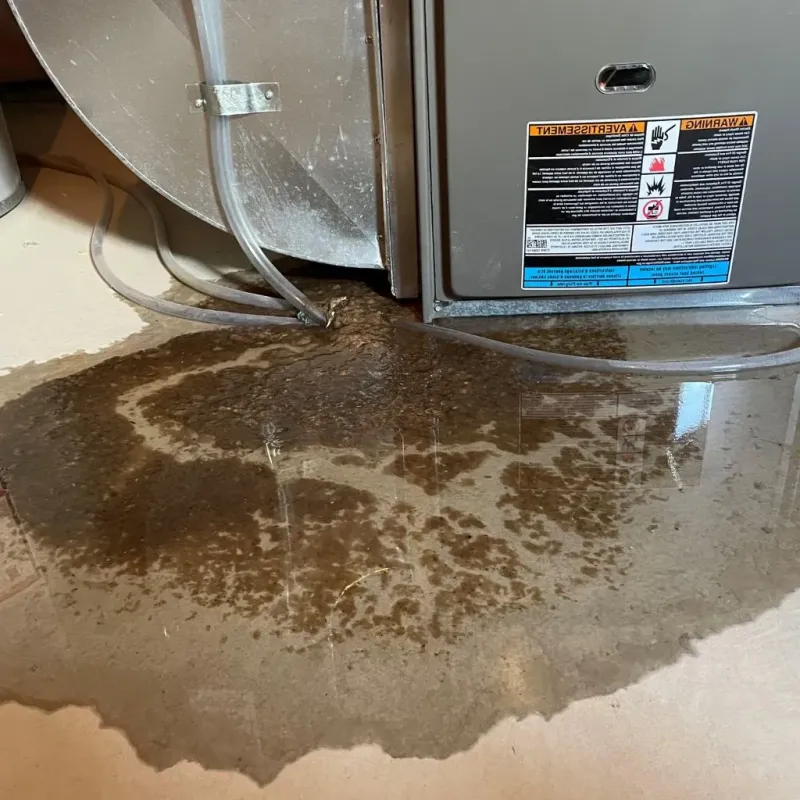 Pipe Burst and Leak Restoration in Lawrence County, MO