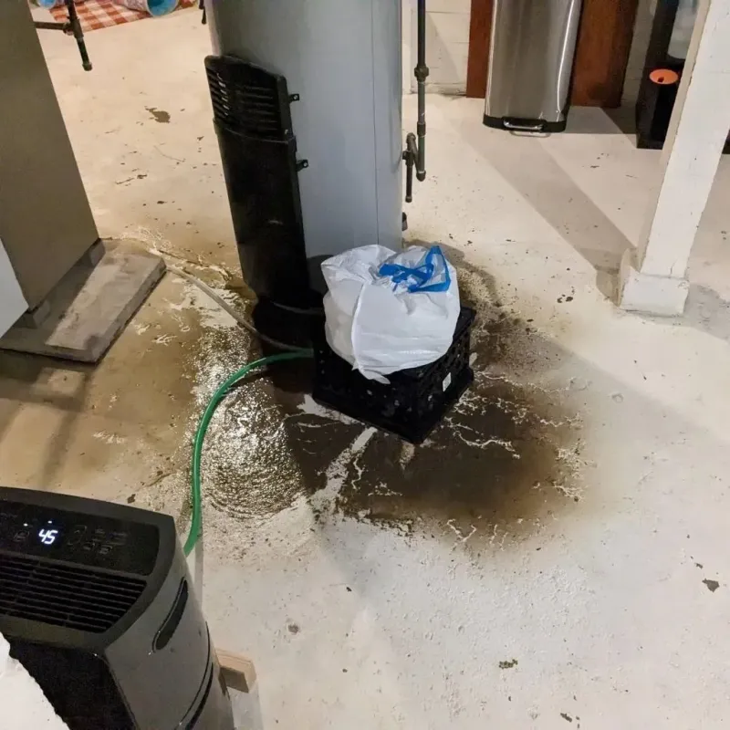 Sewage Backup Cleanup Service in Lawrence County, MO